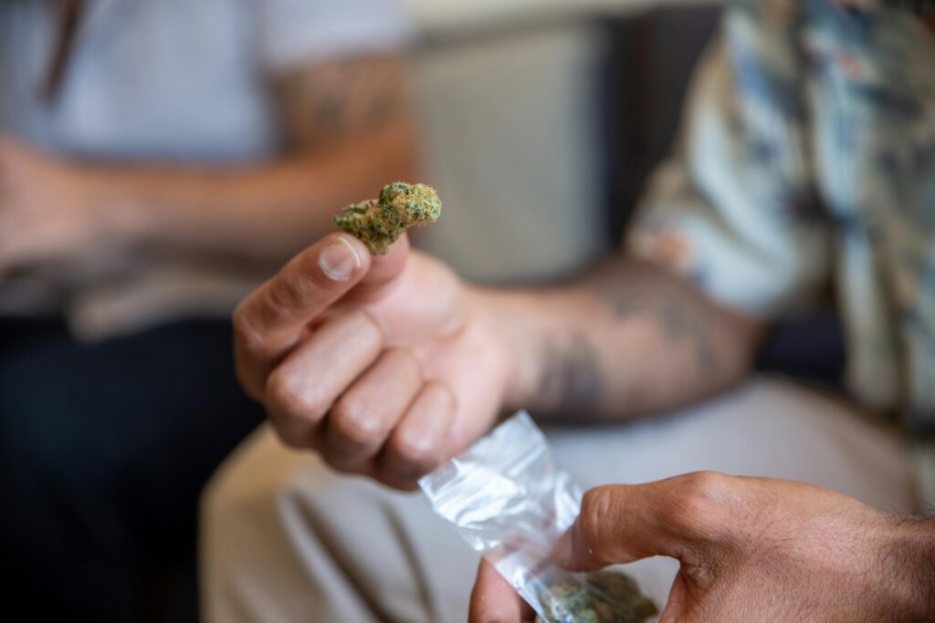A detailed view of a hand holding a cannabis bud indoors. Perfect for lifestyle or health topics.